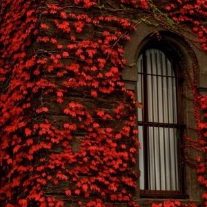 Meet your Posher, Abbie